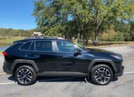 2019 TOYOTA RAV4 ADVENTURE AWD