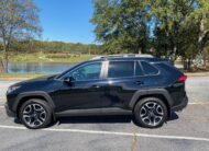 2019 TOYOTA RAV4 ADVENTURE AWD