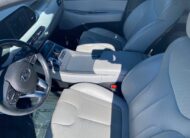 2020 HYUNDAI PALISADE SEL W/PREMIUM PACKAGE